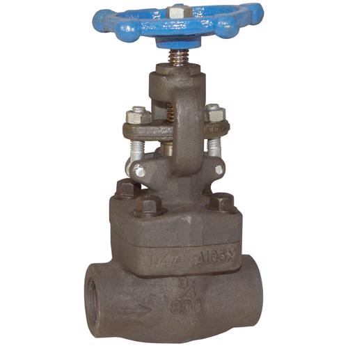 FSGLBV200 Forged Steel Globe Valve